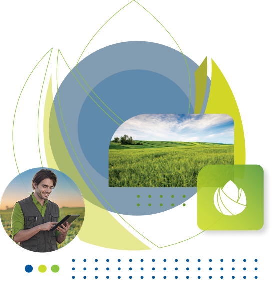 AgroGold